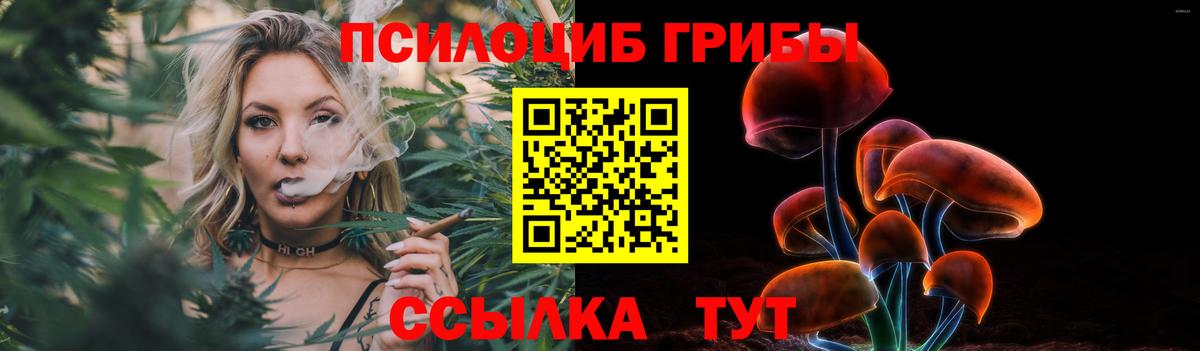 Галлюциногенные грибы прущие грибы  Вход с VPN  Чистополь 
